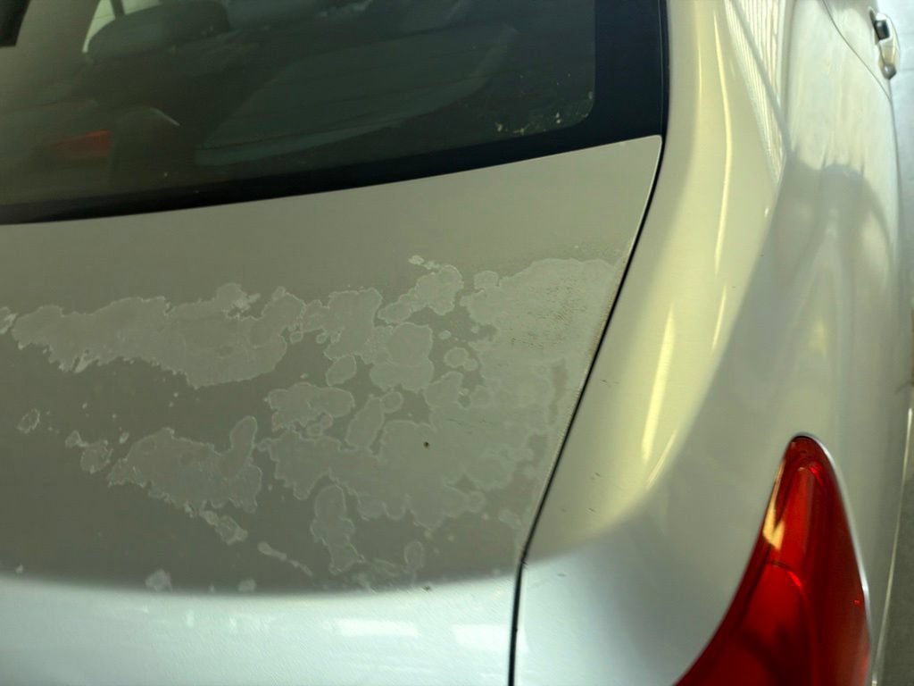 Used 2010 Toyota Yaris Sedan FWD image 7