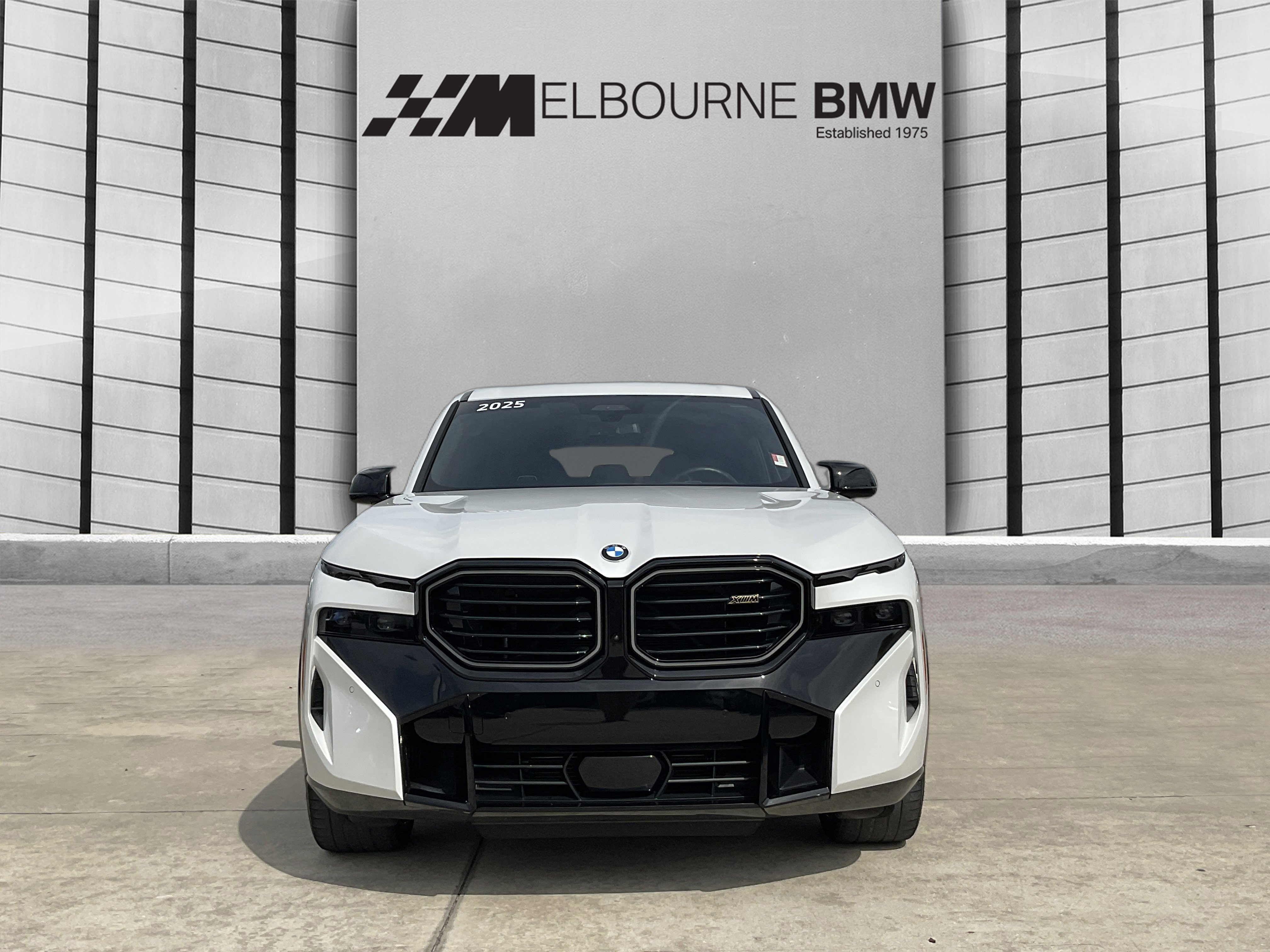 Used 2025 BMW XM image 2