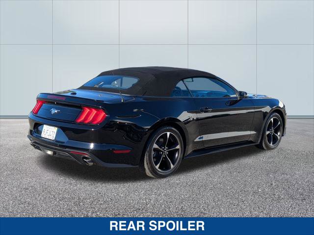 Used 2019 Ford Mustang EcoBoost w/ Equipment Group 101A image 5