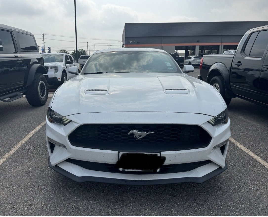 Used 2019 Ford Mustang Coupe w/ Equipment Group 101A RWD image 6