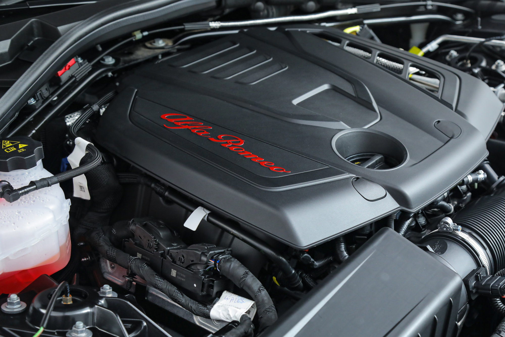 New 2025 Alfa Romeo Giulia w/ Driving Assist Package image 19