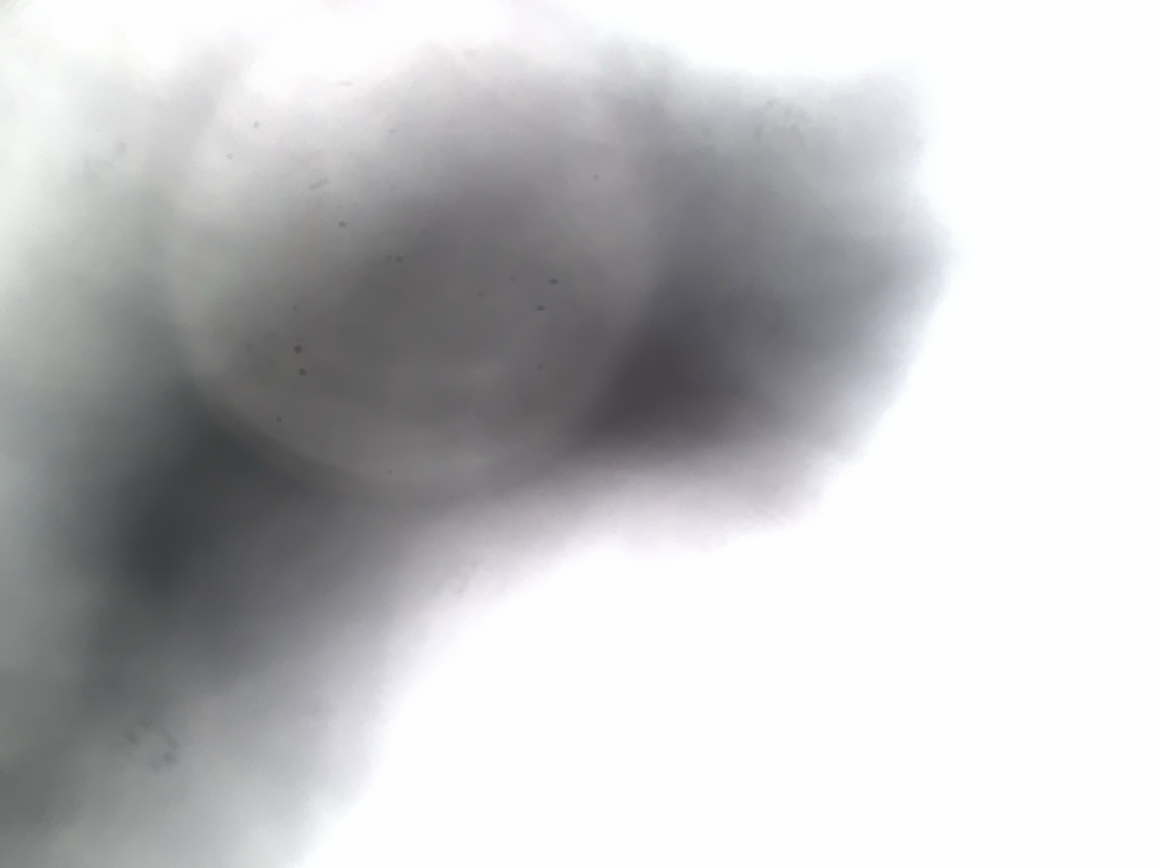 New 2026 Chevrolet Traverse RS image 23