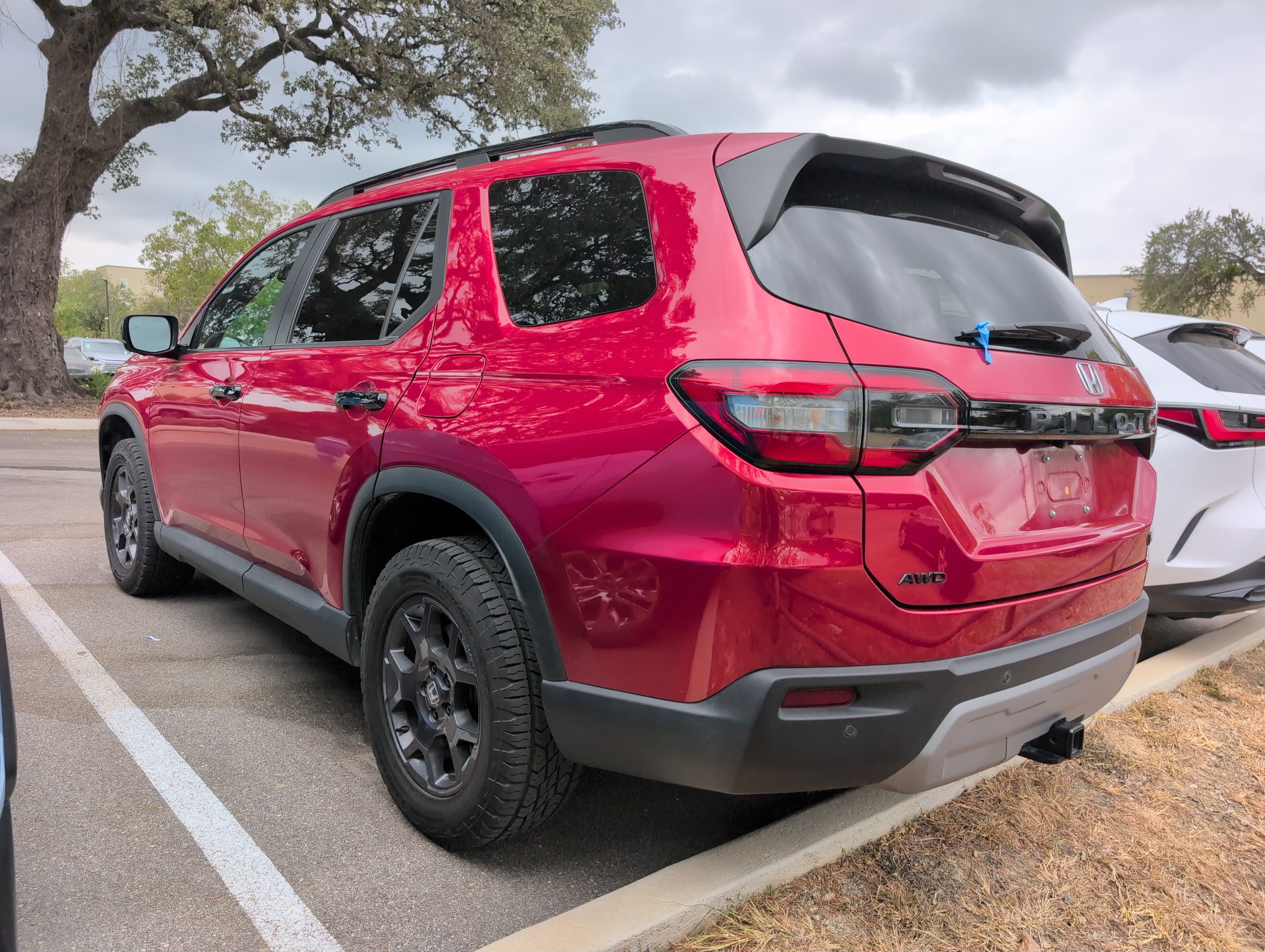 Used 2025 Honda Pilot TrailSport image 4
