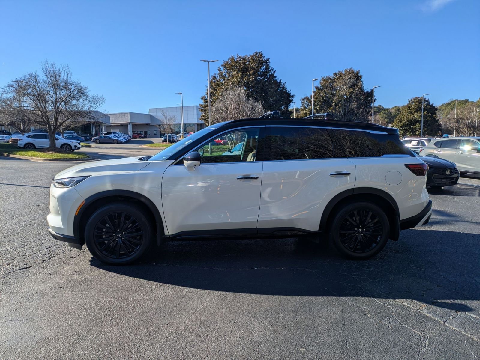 Used 2024 INFINITI QX60 Autograph w/ Cargo Package image 8