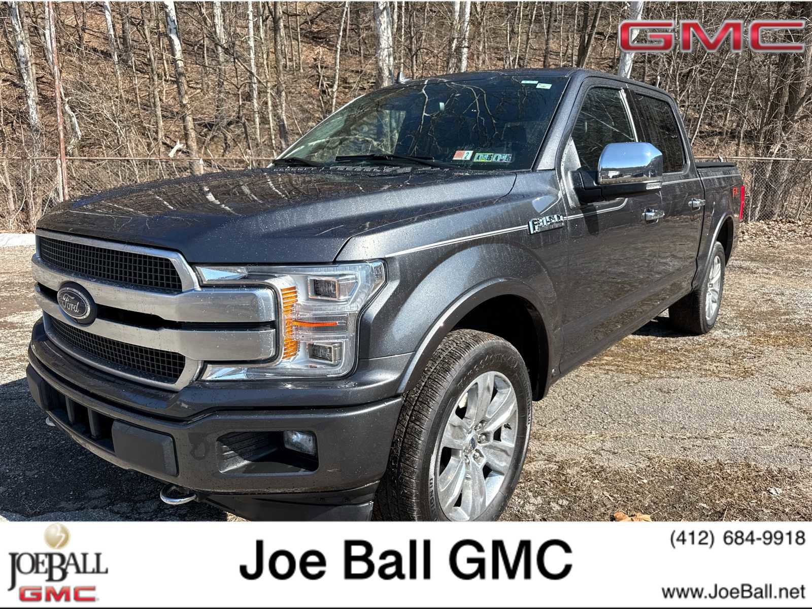 Used 2018 Ford F150 Platinum w/ Equipment Group 701A Luxury image 1