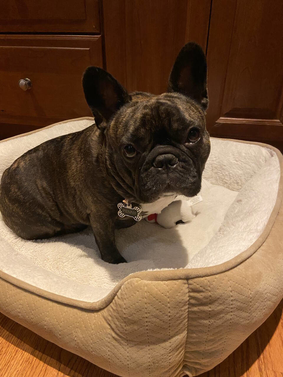 Used 2013 Ford Edge SEL image 55