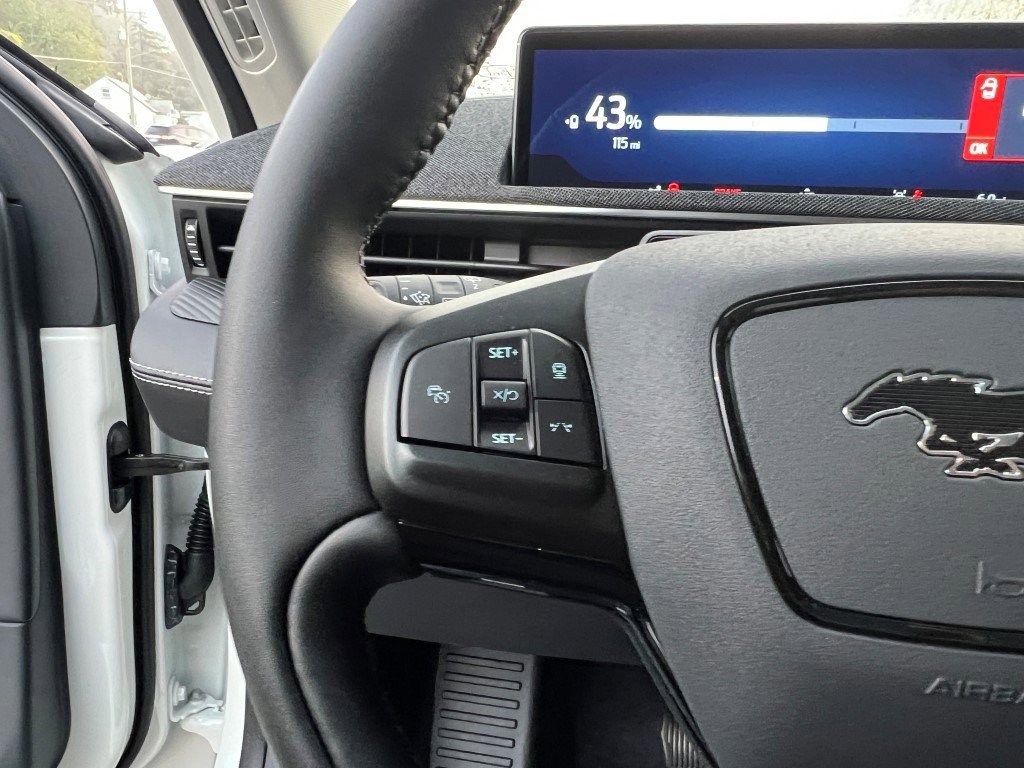 New 2025 Ford Mustang Mach-E Premium w/ Interior Protection Package image 24