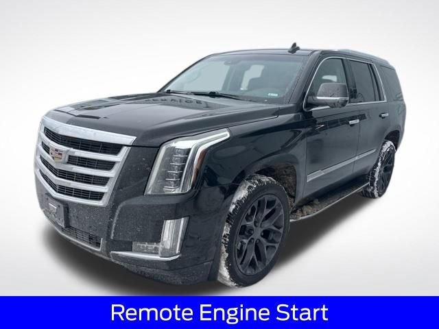Used 2019 Cadillac Escalade Luxury image 6