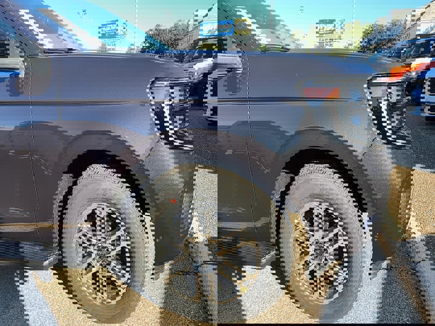 New 2025 Ford Expedition Active image 6