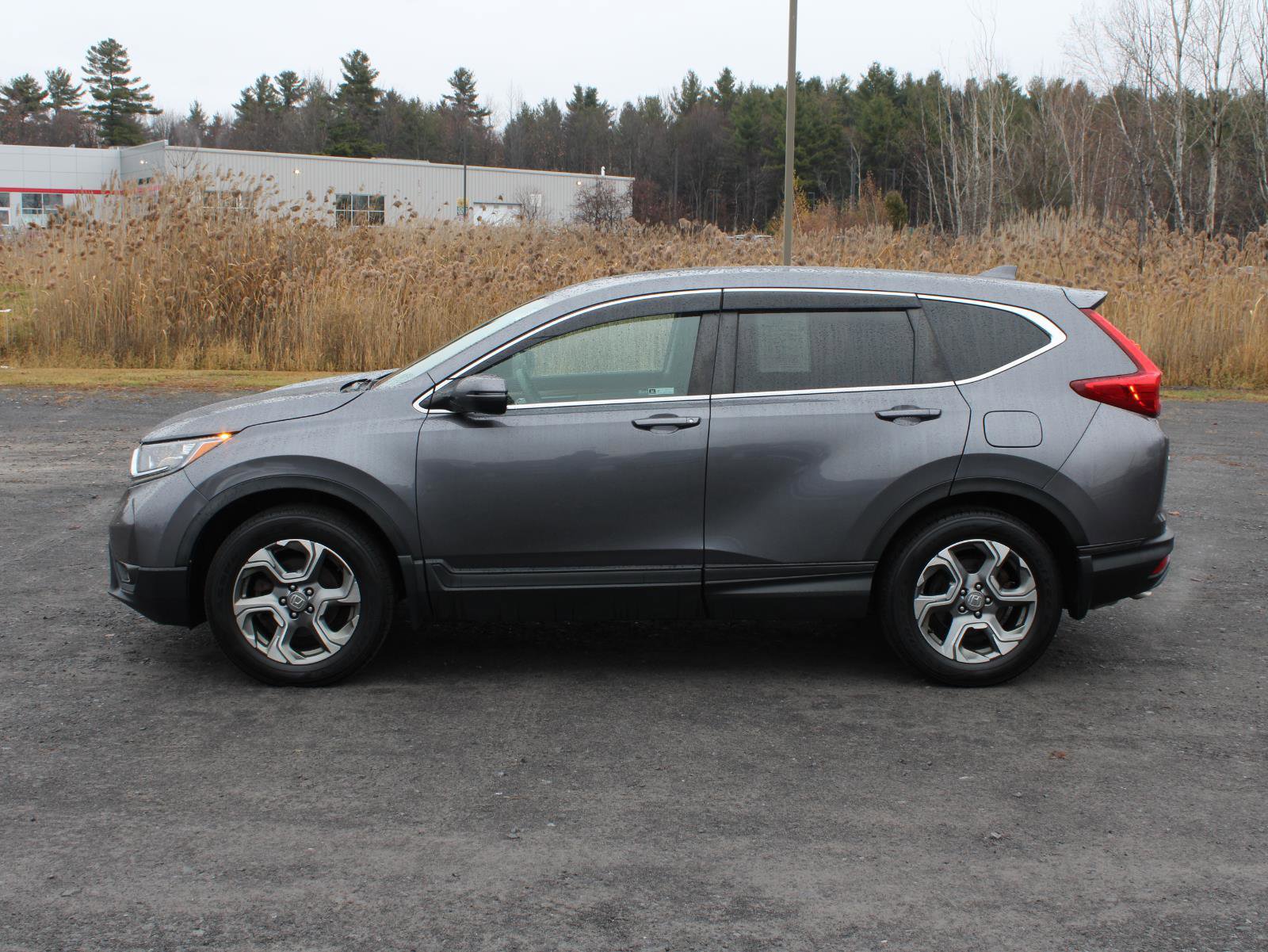 Certified 2019 Honda CR-V EX image 5