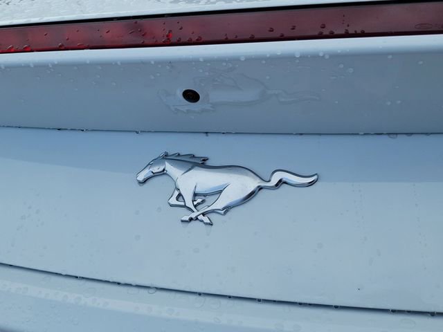 Used 2026 Ford Mustang Premium image 5