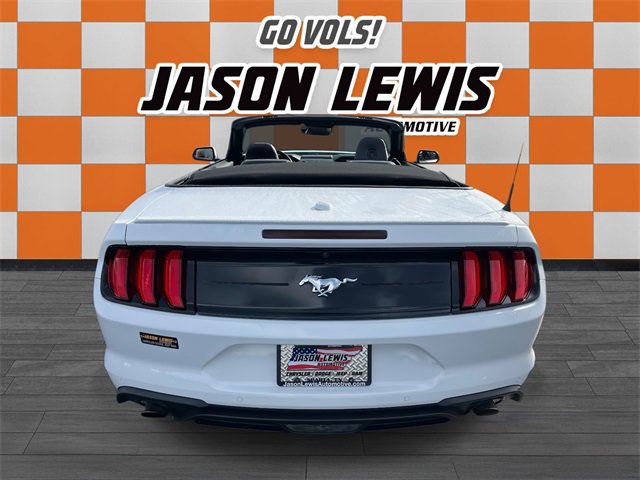 Used 2023 Ford Mustang Premium w/ Equipment Group 201A image 6