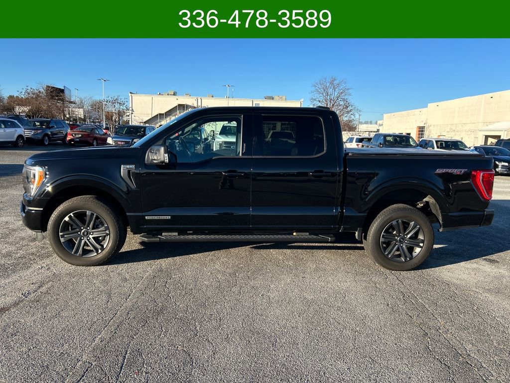 Used 2023 Ford F150 XLT w/ Equipment Group 302A High image 2