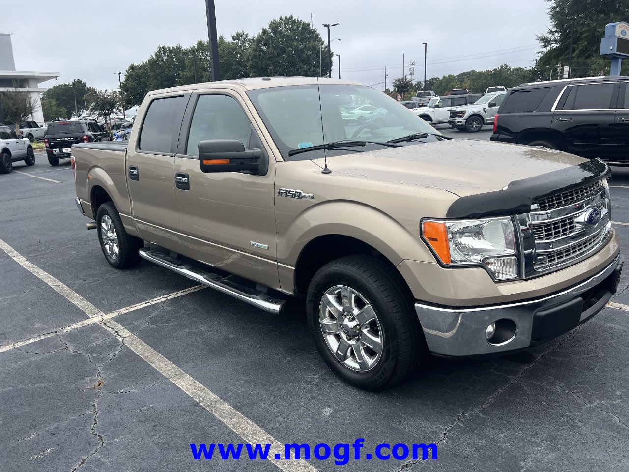 Used 2013 Ford F150 XLT w/ Luxury Equipment Group RWD image 4