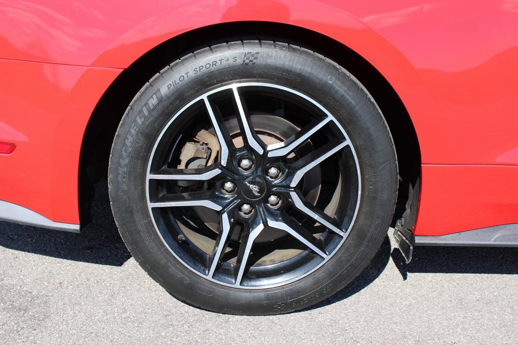 Used 2019 Ford Mustang GT Premium w/ Equipment Group 401A image 31