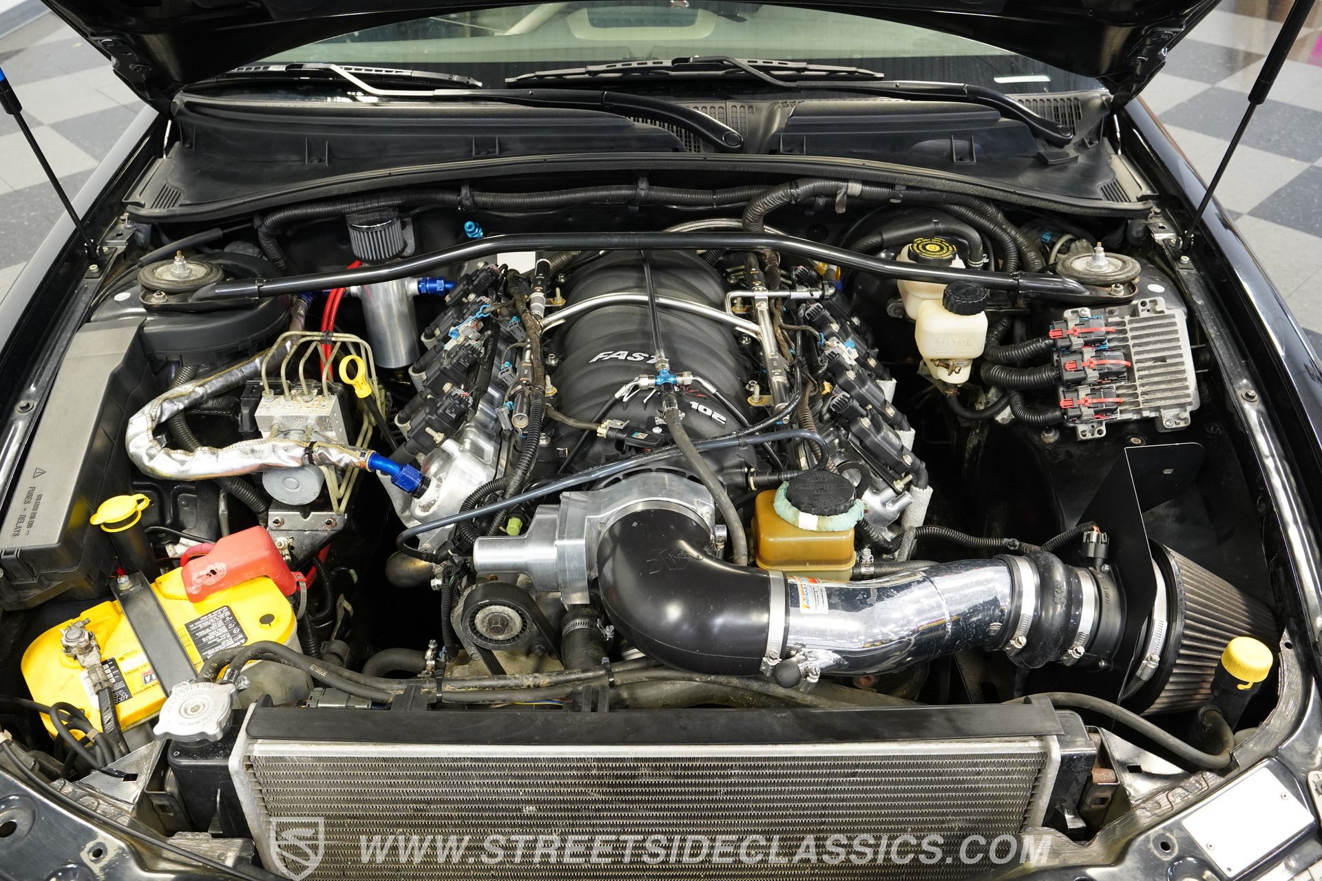 Used 2005 Pontiac GTO RWD image 3