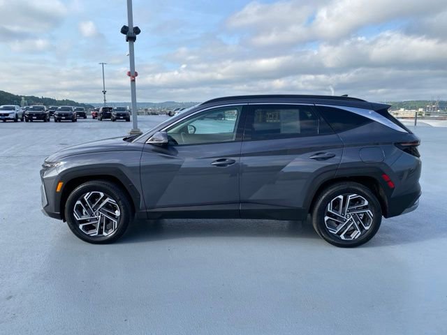Used 2025 Hyundai Tucson Limited AWD/4WD image 5