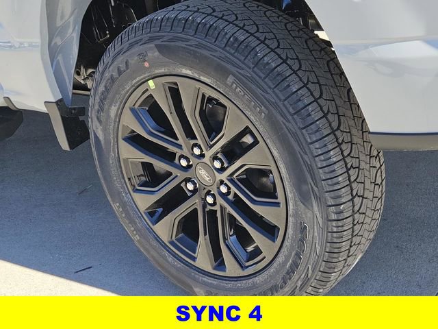 New 2026 Ford F150 XLT w/ Equipment Group 302A MID image 9