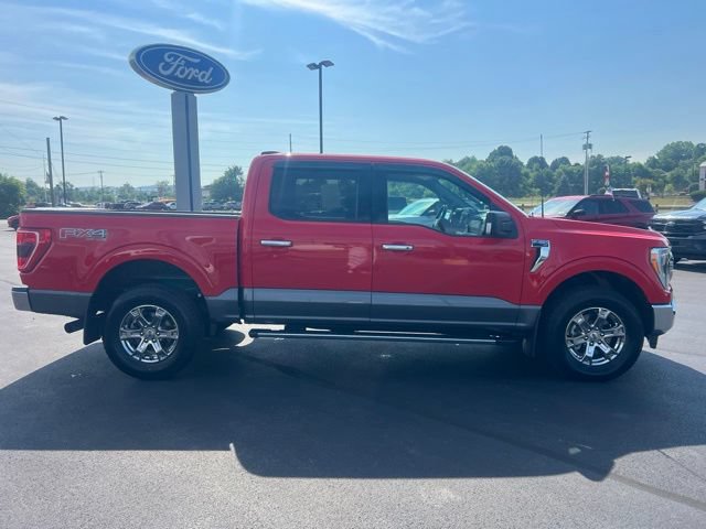 Used 2021 Ford F150 XLT w/ Equipment Group 302A High AWD/4WD image 8