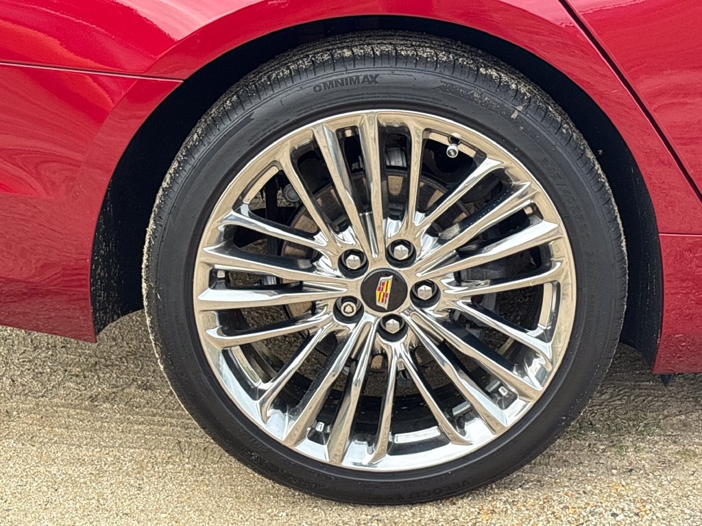 Used 2019 Cadillac CT6 Premium Luxury AWD/4WD image 16
