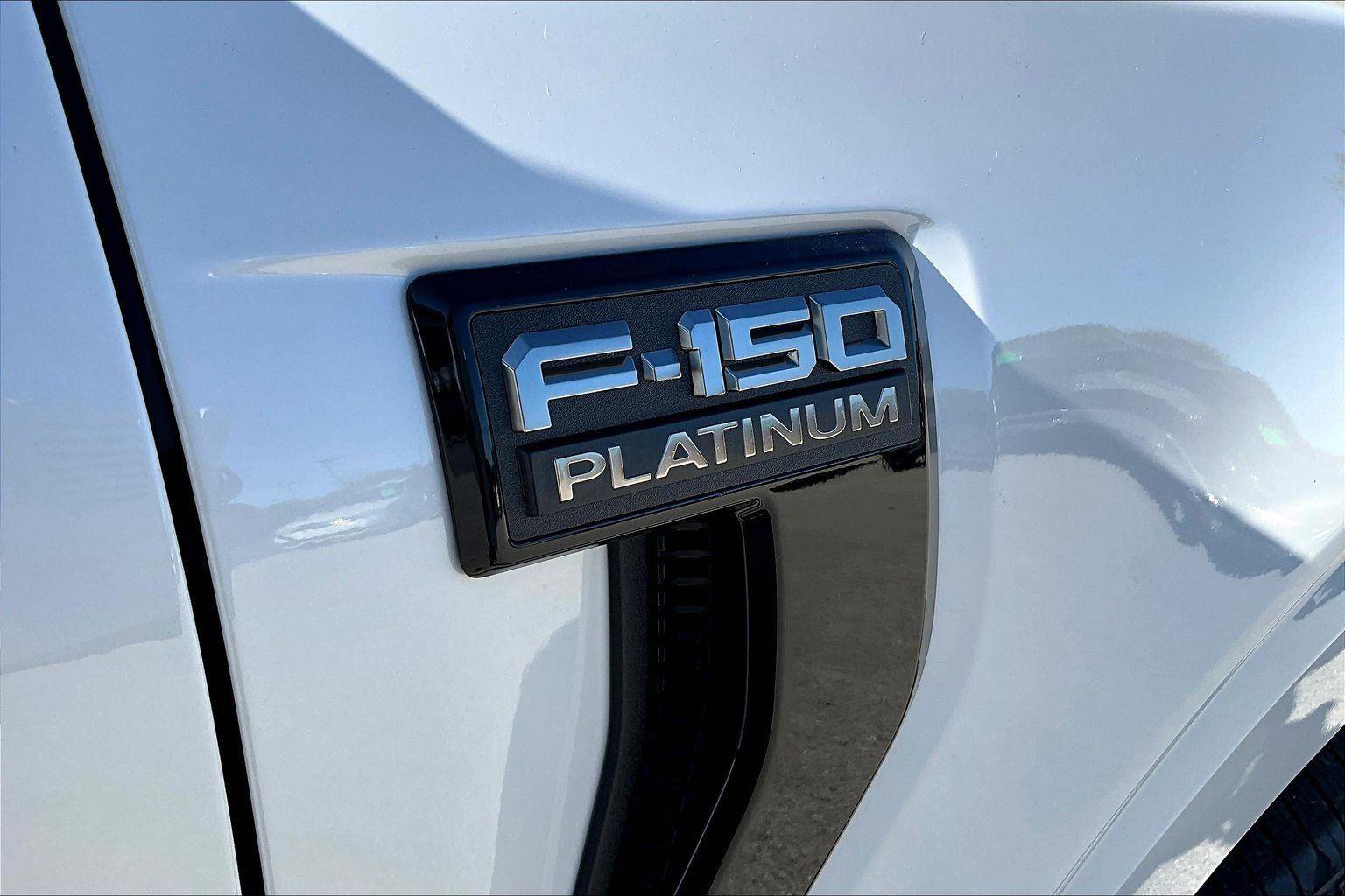 New 2025 Ford F150 Platinum image 19