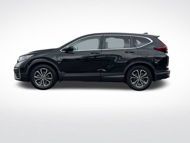 Used 2022 Honda CR-V EX-L image 5