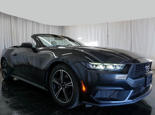 Used 2024 Ford Mustang Premium image 2