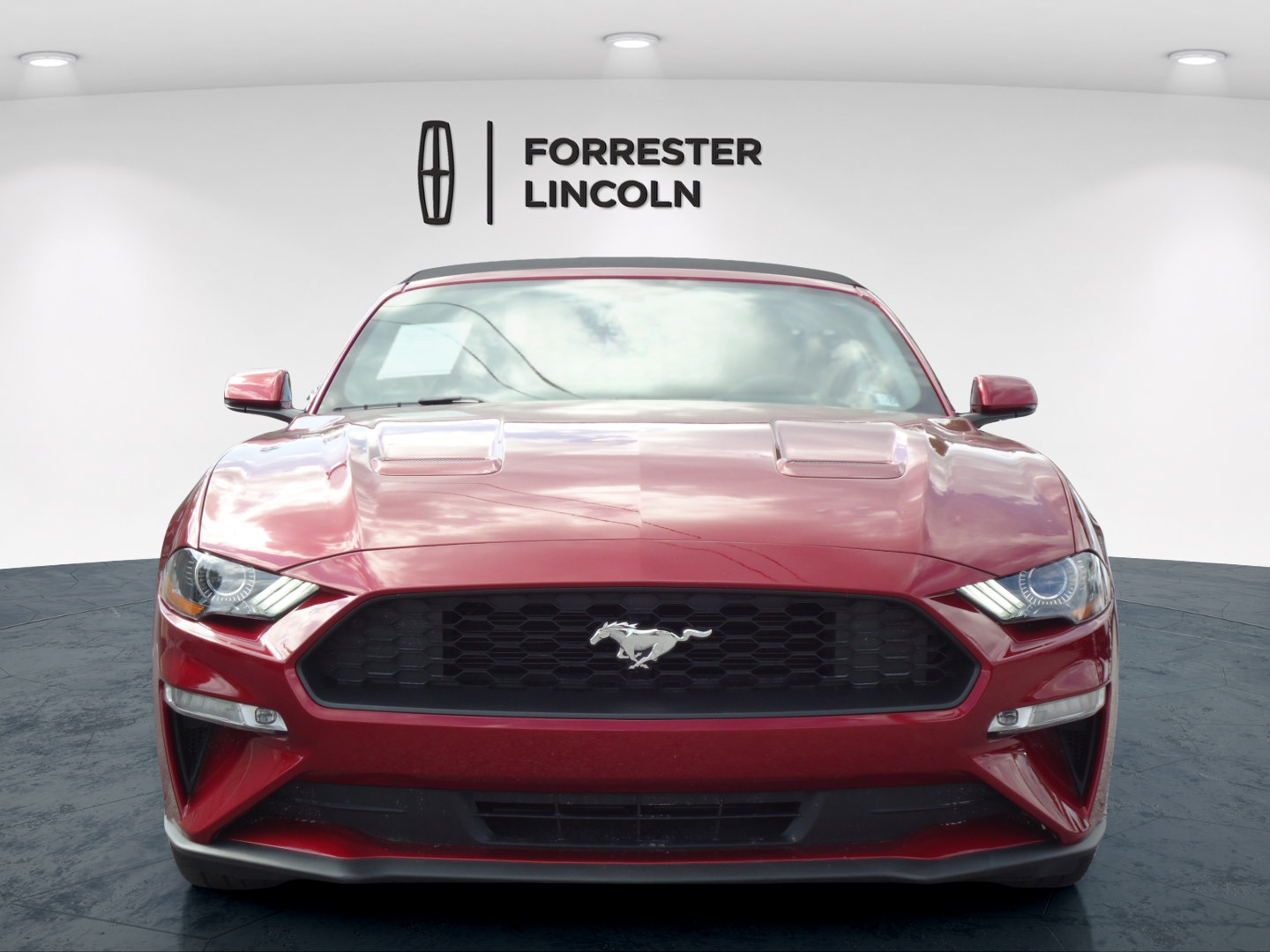 Used 2019 Ford Mustang Premium w/ Equipment Group 201A RWD image 12