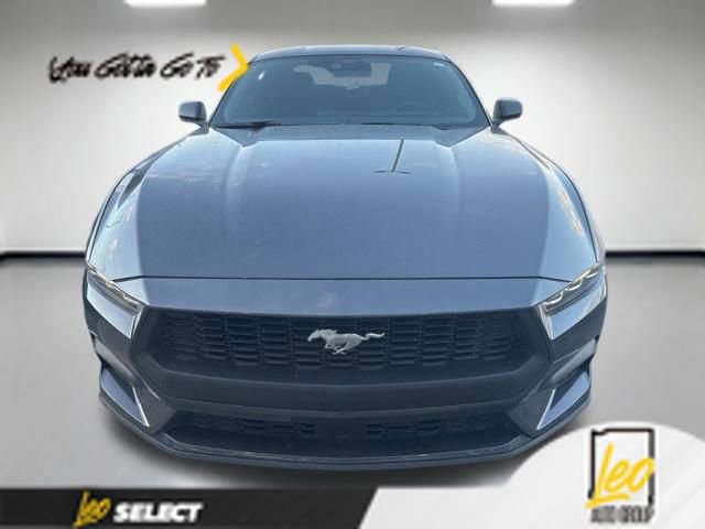 Used 2024 Ford Mustang Premium