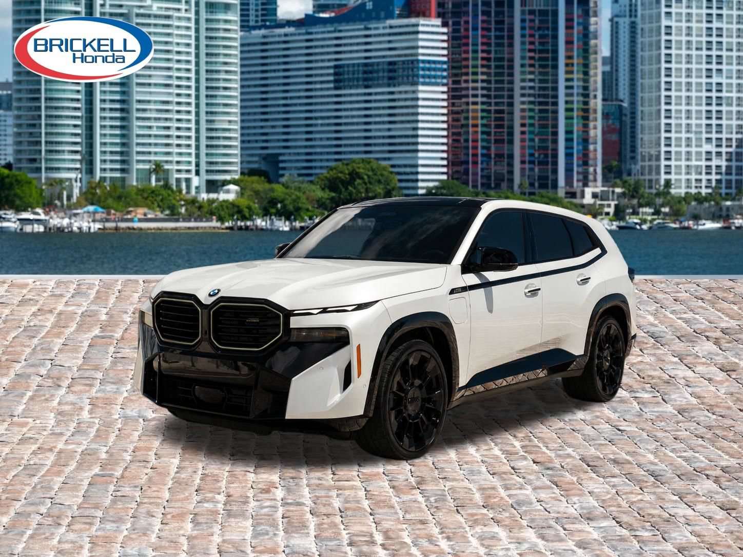 Used 2025 BMW XM AWD/4WD image 2