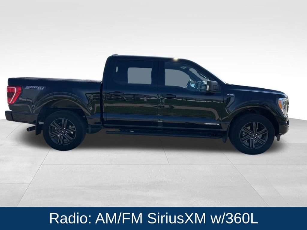Used 2022 Ford F150 XLT w/ Equipment Group 302A High image 7