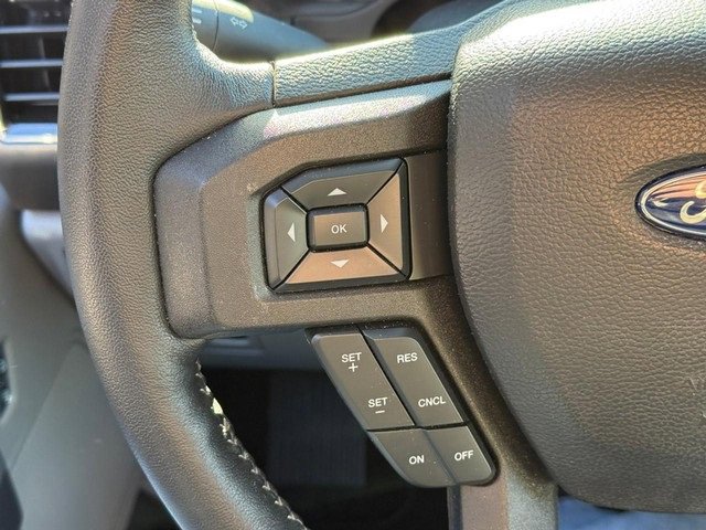 Used 2019 Ford F150 XLT w/ Equipment Group 302A Luxury image 13