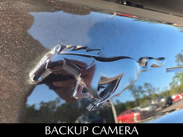 Used 2022 Ford Mustang Coupe w/ Equipment Group 101A RWD image 6