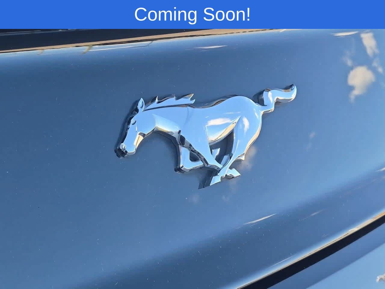 Used 2017 Ford Mustang Premium w/ Pony Package RWD image 12