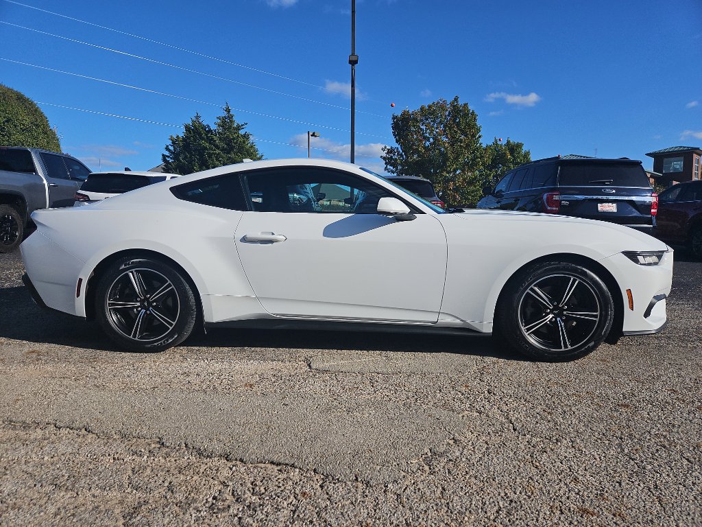Used 2024 Ford Mustang EcoBoost image 3