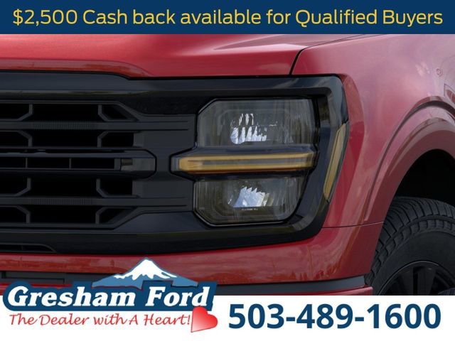 New 2026 Ford F150 XLT w/ Equipment Group 302A MID image 21