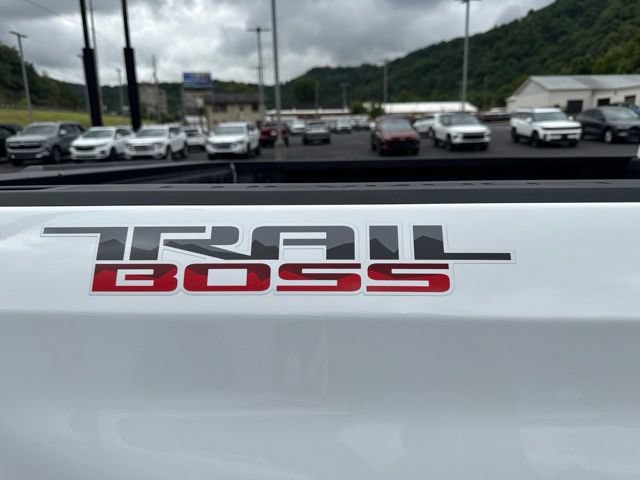 Used 2024 Chevrolet Silverado 1500 LT Trail Boss w/ Convenience Package II AWD/4WD image 9