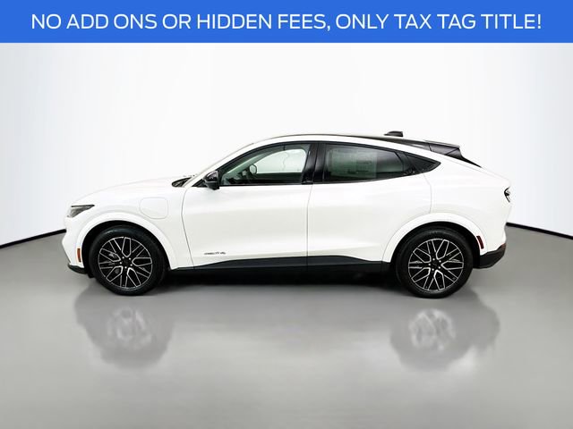 New 2026 Ford Mustang Mach-E Premium w/ Technology Package image 4