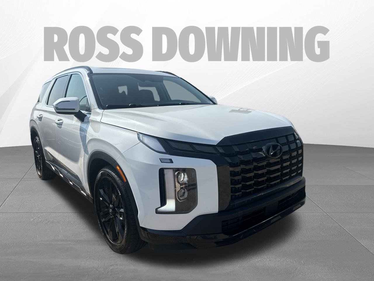 Used 2024 Hyundai Palisade XRT FWD image 3