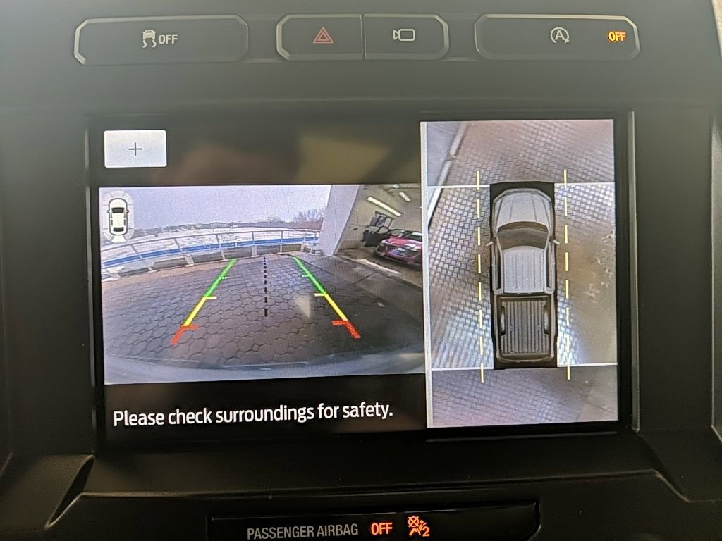 Used 2019 Ford F150 Limited image 22