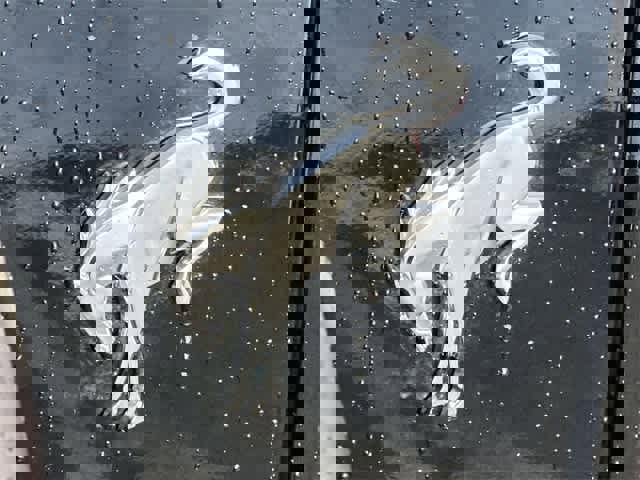 Used 2025 Ford Bronco Outer Banks image 28