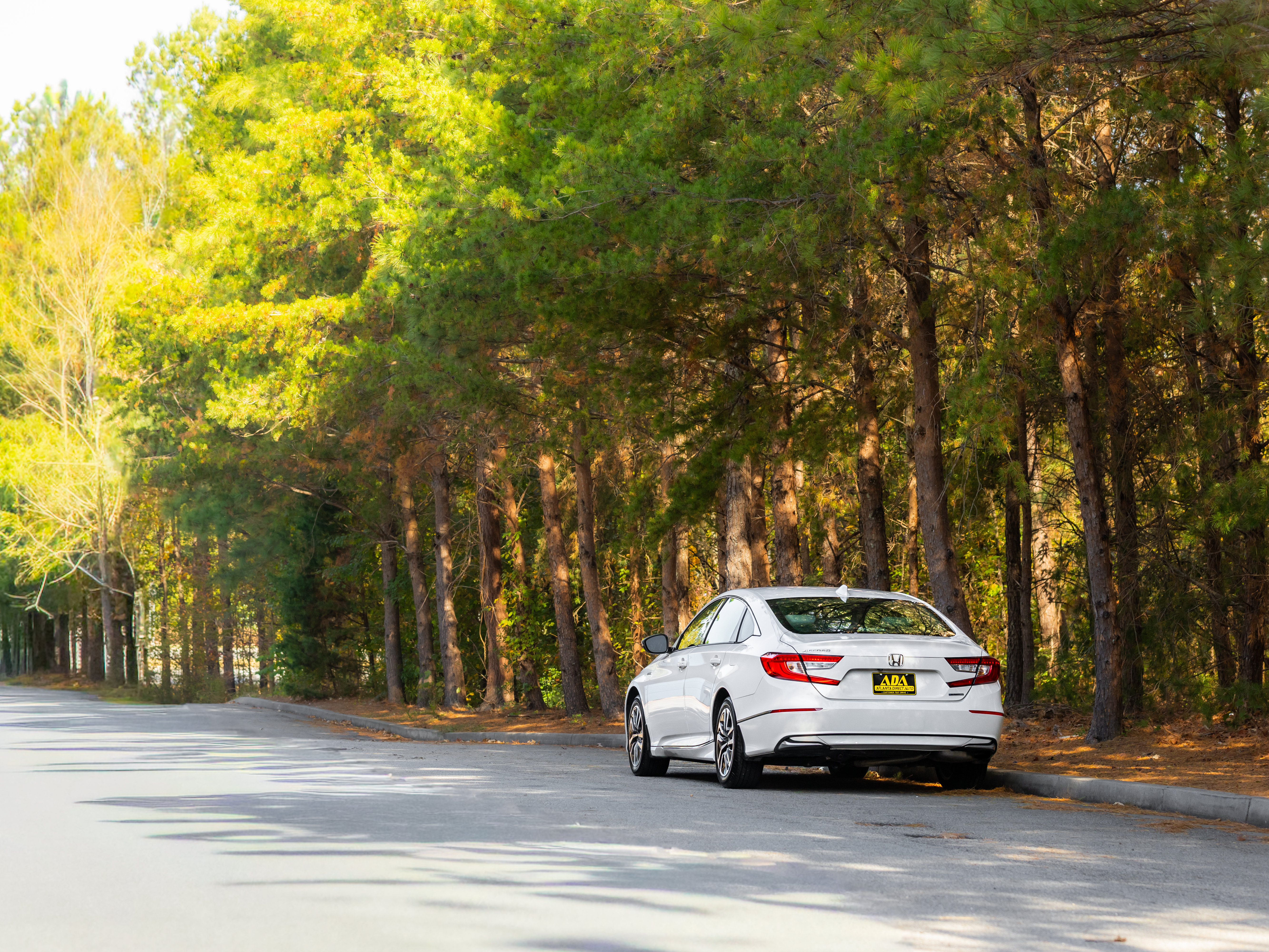Used 2019 Honda Accord EX-L image 43