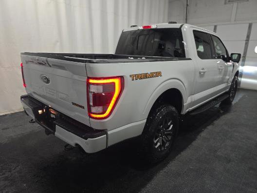 Used 2023 Ford F150 Tremor w/ Equipment Group 402A High image 4