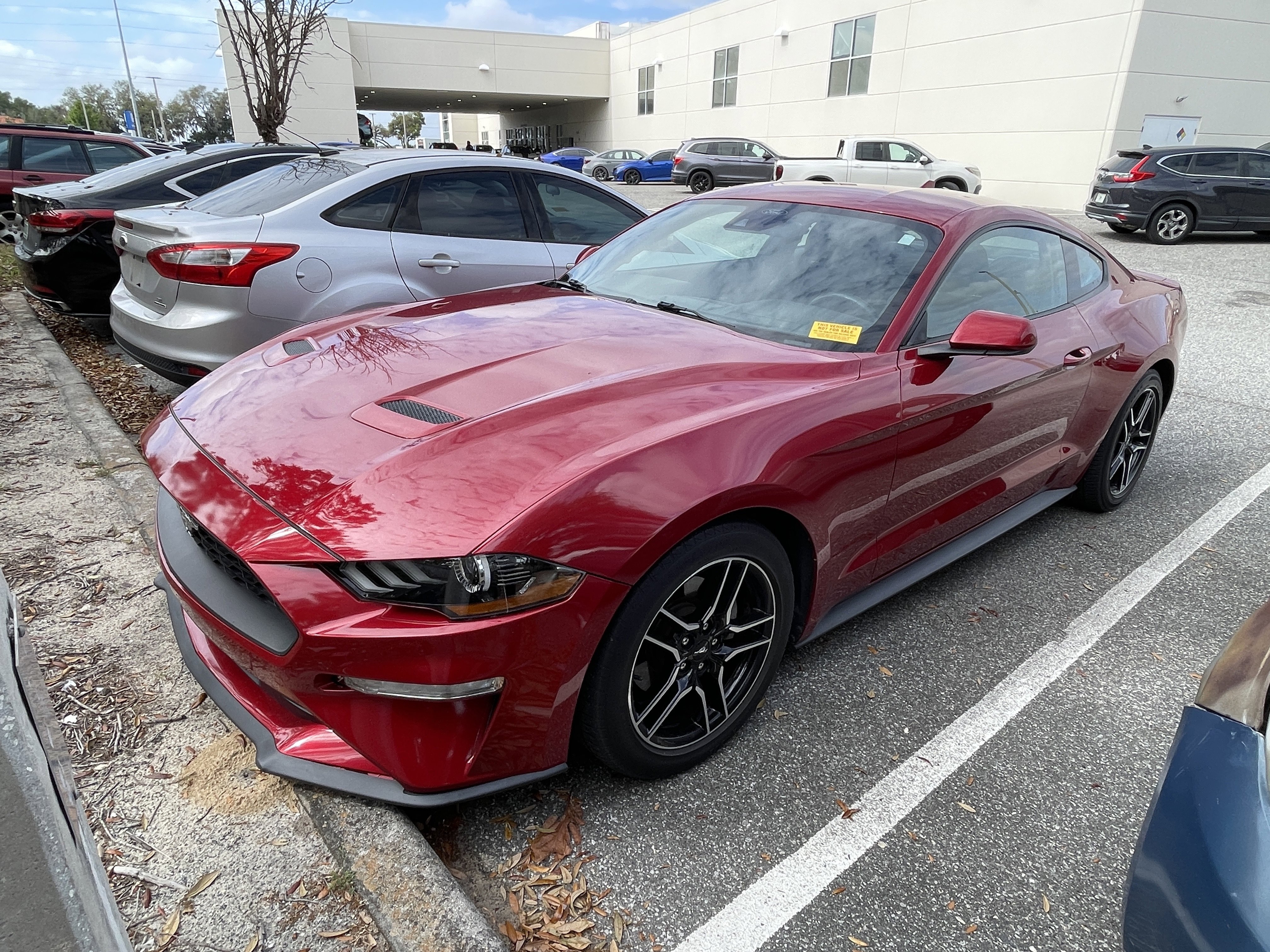Used 2021 Ford Mustang Coupe w/ Equipment Group 101A image 1