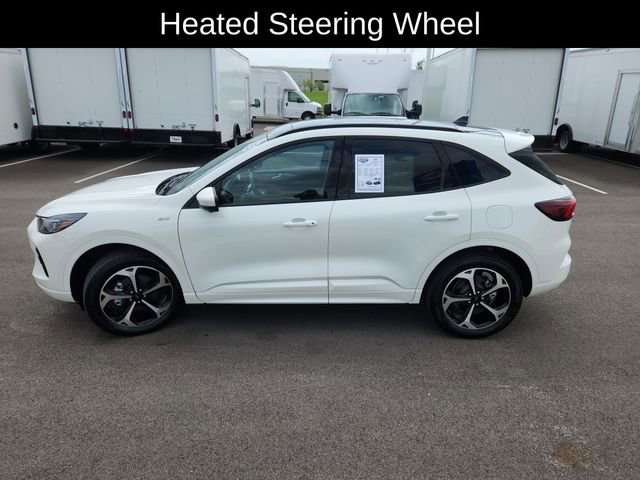 Used 2025 Ford Escape ST-Line Elite w/ Premium Technology Package image 4