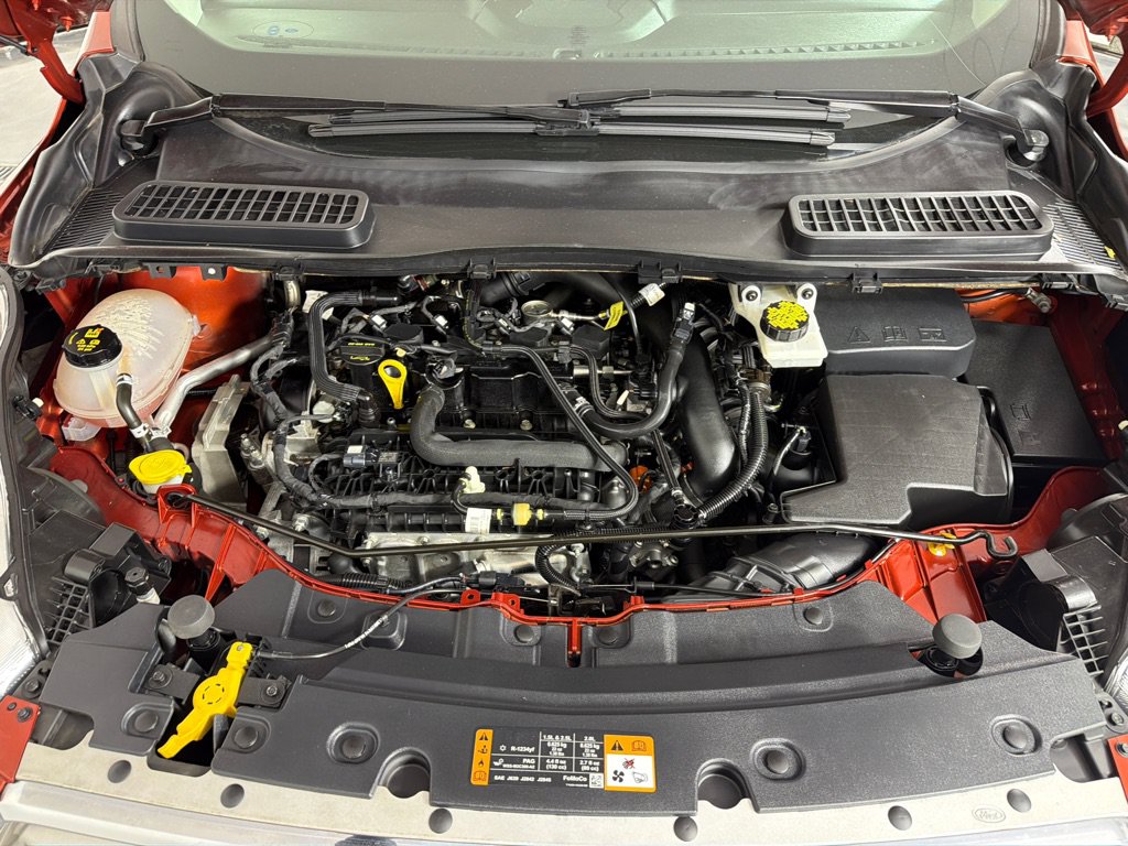 Used 2019 Ford Escape SE FWD image 26