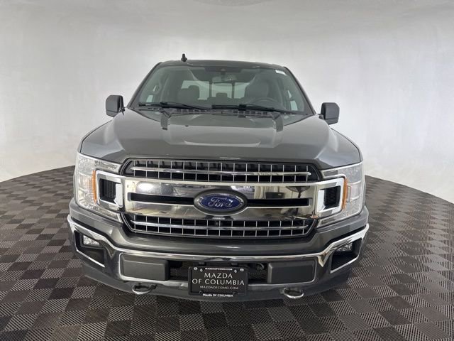 Used 2019 Ford F150 XLT w/ Equipment Group 302A Luxury image 2