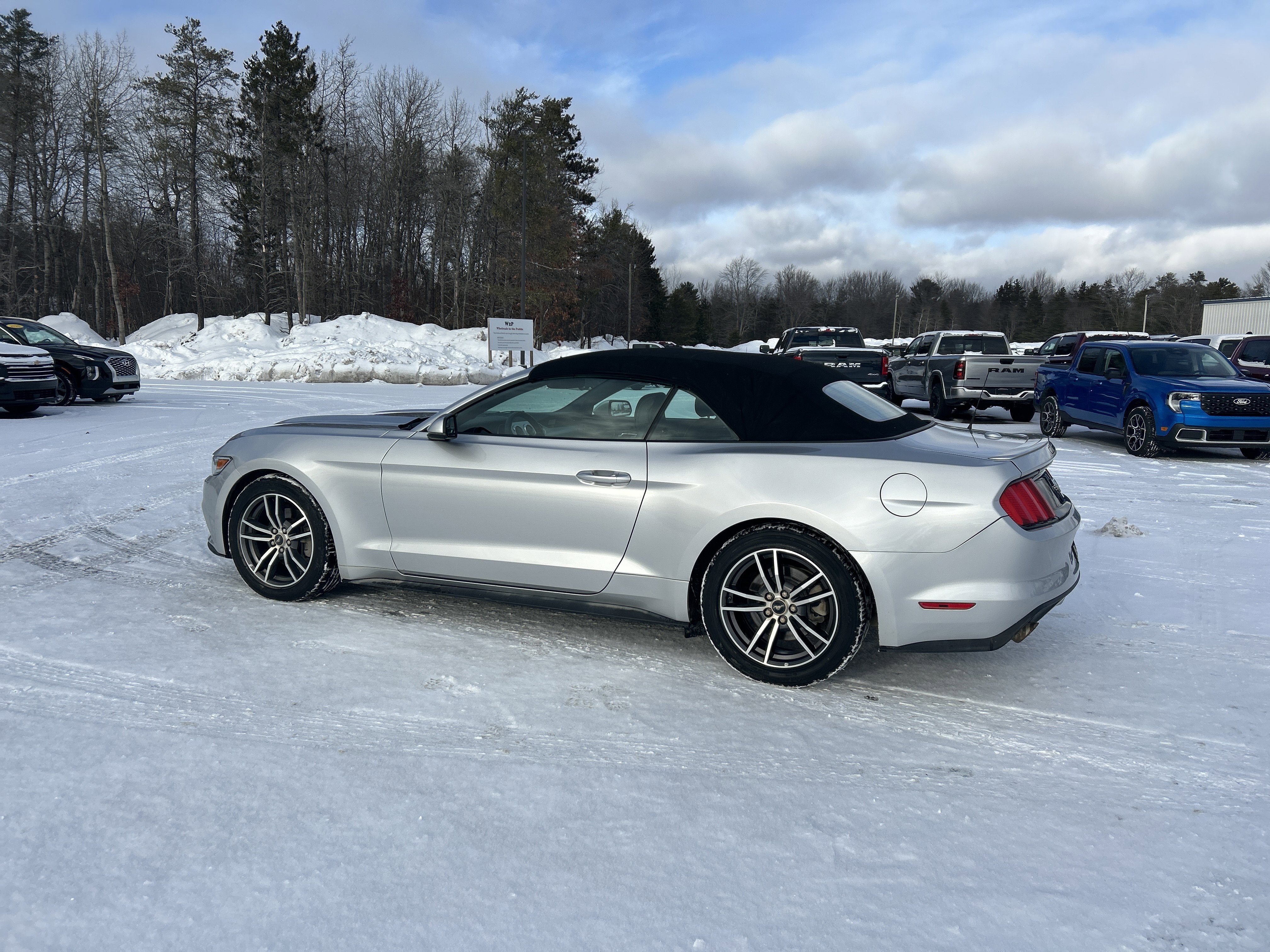 Used 2017 Ford Mustang Premium image 5