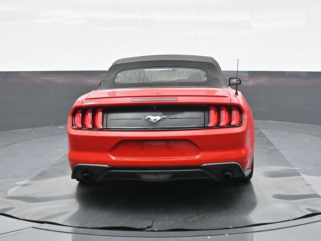 Used 2019 Ford Mustang Premium RWD image 11