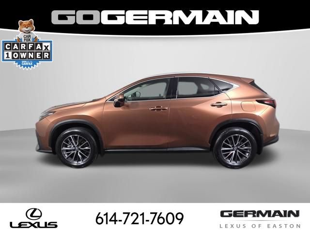 Certified 2025 Lexus NX 350 AWD w/ Cold Area Package image 10